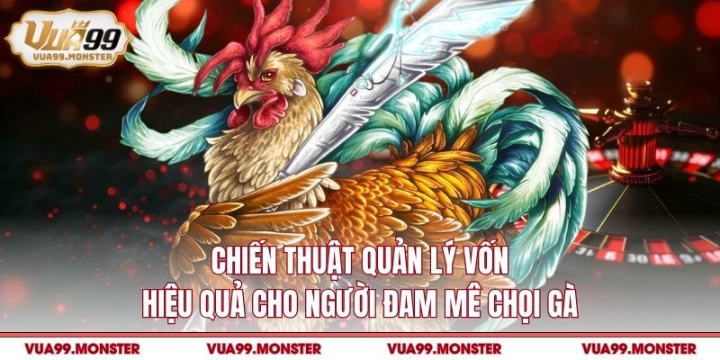 Chiến thuật quản lý vốn hiệu quả cho người đam mê chọi gà