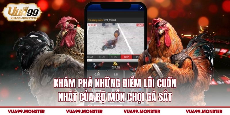 Khám phá những điểm lôi cuốn nhất của bộ môn chọi gà sắt